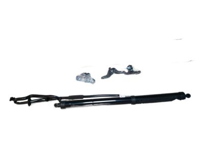 2017 Toyota RAV4 Liftgate Lift Support - 68920-49079