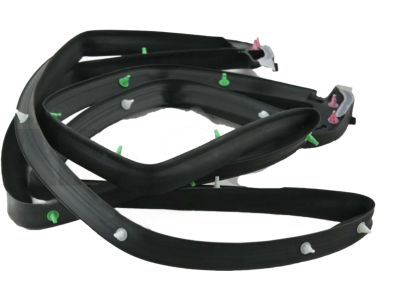 2021 Toyota Land Cruiser Weather Strip - 68281-60030