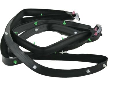 2021 Toyota Land Cruiser Weather Strip - 68281-60030