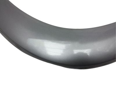 Toyota 75612-42080-B0 Moulding, Front Fender, Outside Front LH