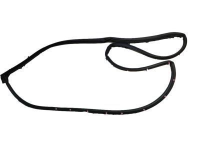 2009 Toyota Avalon Weather Strip - 67872-AC030