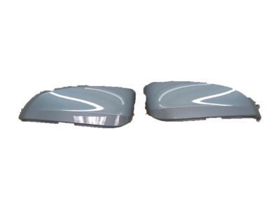 Toyota Tacoma Mirror Cover - 87915-04070-B2