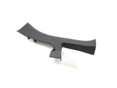 Toyota 67918-10060-C0