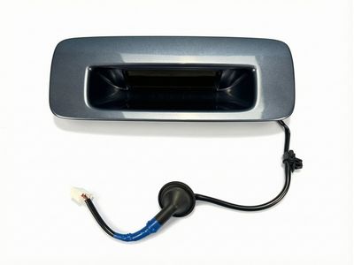 2018 Toyota Sequoia Door Handle - 76802-0C010-J1