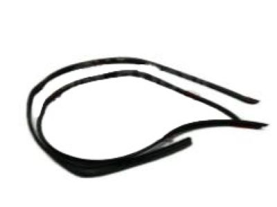 Toyota 62382-35011 Weatherstrip, Roof Side Rail, LH