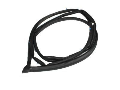 Toyota 67862-60071 Weatherstrip, Front Door, LH