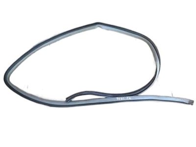 2000 Toyota Avalon Weather Strip - 62311-AC030-E0