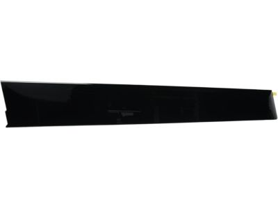 Toyota Avalon Door Moldings - 75756-AC010