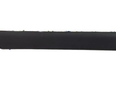 Toyota Echo Door Moldings - 75736-52020