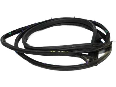 2013 Toyota Camry Weather Strip - 67871-06090