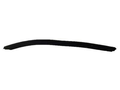 2002 Toyota Tacoma Weather Strip - 68174-35020