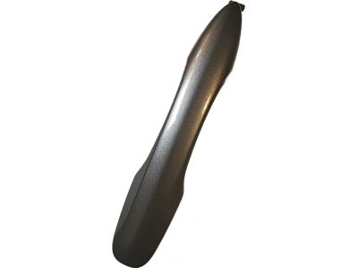 2019 Toyota Camry Door Handle - 69211-06110-B0