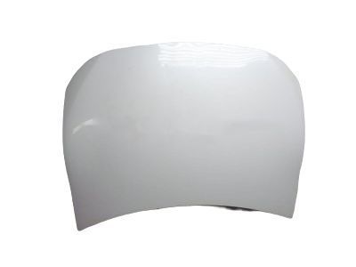 Scion Hood - SU003-01394