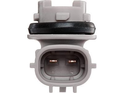 Toyota 4Runner Light Socket - 90075-99012