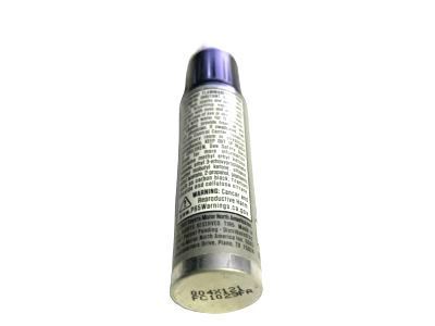 Toyota 00258-004X1-21 Titanium Glow