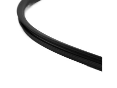 Toyota 64461-33050 Weatherstrip, Luggage Compartment Door