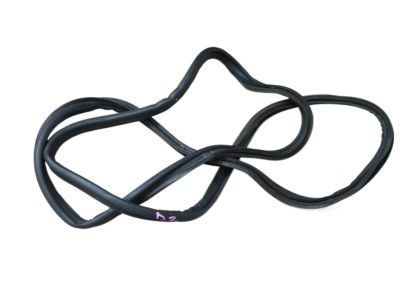 Toyota Camry Weather Strip - 64461-33050