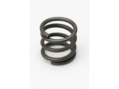 90501-16166 Toyota Spring Product Photo 1 of 1