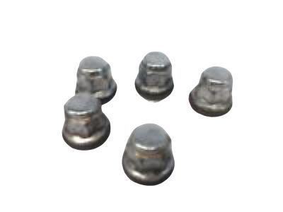 2009 Toyota RAV4 Lug Nuts - 42619-42030