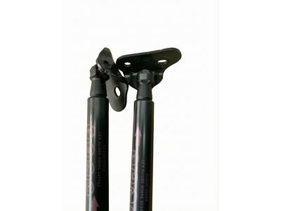 Toyota Yaris Lift Support - 68950-0D210