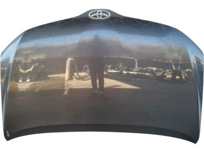 2011 Toyota Venza Hood - 53301-0T020