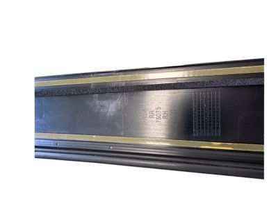 2019 Toyota RAV4 Door Moldings - 75075-0R030