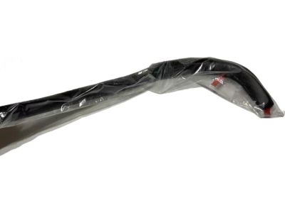 2023 Toyota Sienna Weather Strip - 62381-08050
