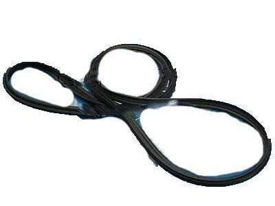 2022 Toyota 4Runner Door Seal - 67881-35060