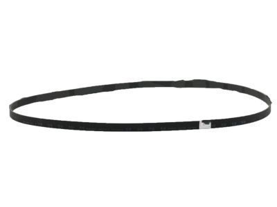 2021 Toyota Tundra Drive Belt - 90916-02759