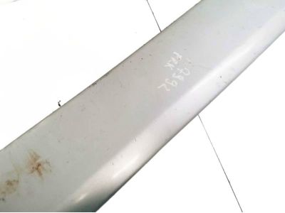 2002 Toyota RAV4 Door Moldings - 75732-42100