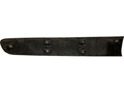 2002 Toyota RAV4 Door Moldings - 75732-42100