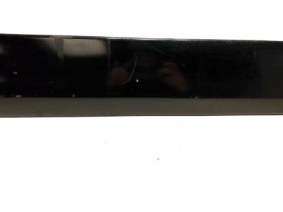 2002 Toyota RAV4 Door Moldings - 75732-42100