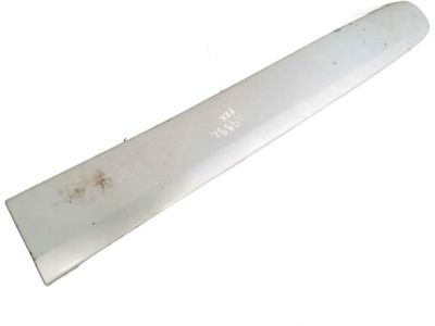 2002 Toyota RAV4 Door Moldings - 75732-42100