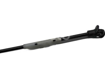 Toyota RAV4 Lift Support - 53440-42070