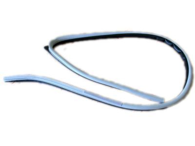 1997 Toyota Land Cruiser Door Seal - 62312-60020-A0