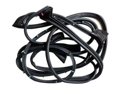 Toyota Venza Weather Strip - 67871-48100