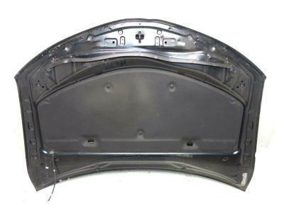 Toyota 53301-06150 Hood Sub-Assembly