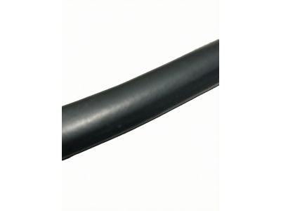 Toyota Camry Weather Strip - 62332-06190