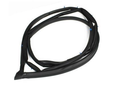 Toyota 67861-01040 Weatherstrip, Front Door, RH