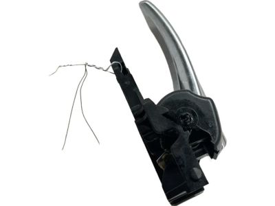 2019 Toyota RAV4 Door Handle - 69206-06160-C0