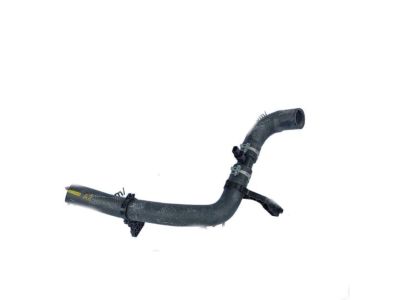 2021 Toyota Venza Radiator Hose - 16571-25100