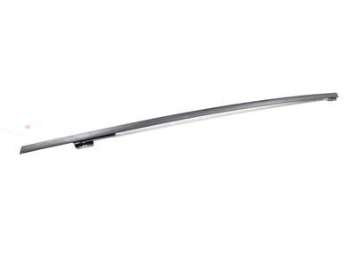 2019 Toyota C-HR Door Moldings - 75763-10010