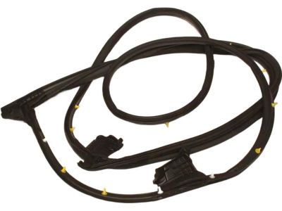 Toyota RAV4 Prime Weather Strip - 67861-42120