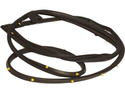 Toyota RAV4 Prime Weather Strip - 67861-42120