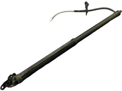 Toyota Sienna Liftgate Lift Support - 68920-08010