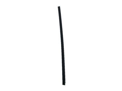 Scion tC Weather Strip - 68171-21050