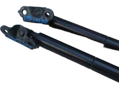 Toyota Sienna Lift Support - 68950-08030