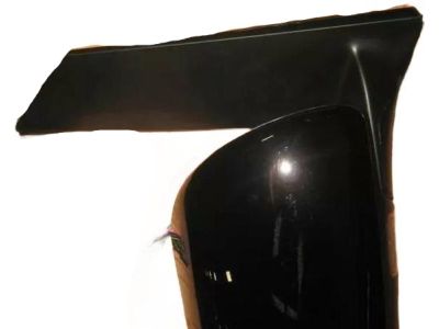 2011 Toyota Sienna Mirror Cover - 87915-08020-G0