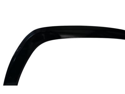 Toyota 75601-42170-C0