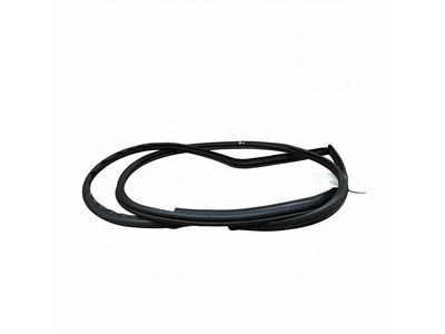 Scion SU003-01638